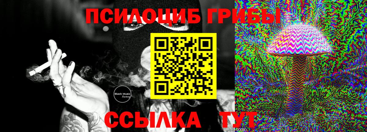 Галлюциногенные грибы GOLDEN TEACHER  Псилоцибиновые грибы прущие грибы  Вход с VPN  Сергиев Посад 