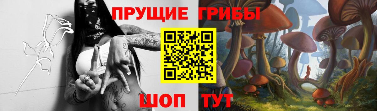 Псилоцибиновые грибы MAGIC MUSHROOMS Сергиев Посад